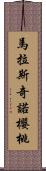 馬拉斯奇諾櫻桃 Scroll