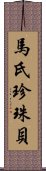 馬氏珍珠貝 Scroll