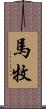 馬牧 Scroll