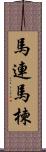 馬連;馬楝 Scroll