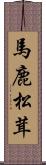 馬鹿松茸 Scroll
