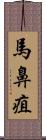 馬鼻疽 Scroll