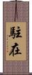 駐在 Scroll