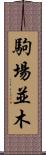 駒場並木 Scroll