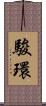 駿環 Scroll