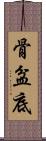 骨盆底 Scroll
