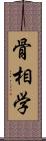 骨相学 Scroll