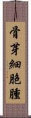 骨芽細胞腫 Scroll