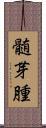 髄芽腫 Scroll