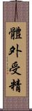 體外受精 Scroll