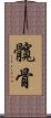 髖骨 Scroll