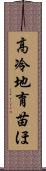 高冷地育苗ほ Scroll