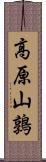 高原山鶉 Scroll