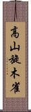 高山旋木雀 Scroll