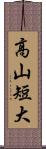 高山短大 Scroll