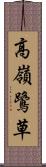 高嶺鷺草 Scroll