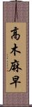 高木麻早 Scroll