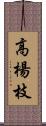 高楊枝 Scroll