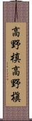 高野槙 Scroll