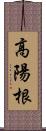 高陽根 Scroll