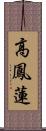高鳳蓮 Scroll