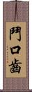 鬥口齒 Scroll