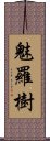 魅羅樹 Scroll