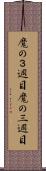 魔の３週目 Scroll