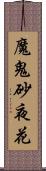 魔鬼砂夜花 Scroll