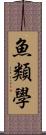 魚類學 Scroll