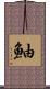 鮋 Scroll
