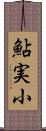 鮎実小 Scroll