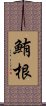 鮪根 Scroll