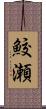 鮫瀬 Scroll