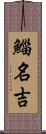 鯔 Scroll