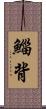 鯔背 Scroll