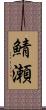 鯖瀬 Scroll