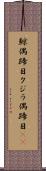 鯨偶蹄目 Scroll