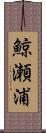 鯨瀬浦 Scroll