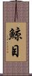 鯨目 Scroll