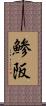 鯵阪 Scroll