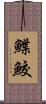 鰈鮫 Scroll