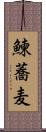 鰊蕎麦 Scroll