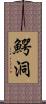 鰐洞 Scroll