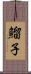 鰡子 Scroll