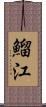 鰡江 Scroll