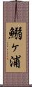 鰯ヶ浦 Scroll