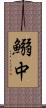 鰯中 Scroll