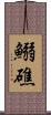 鰯礁 Scroll