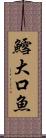 鱈;大口魚 Scroll